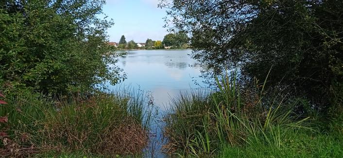 Vue sur le plan d'eau avec des feuillages devant