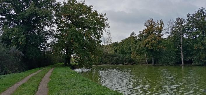 Un chemin le long d'un plan d'eau