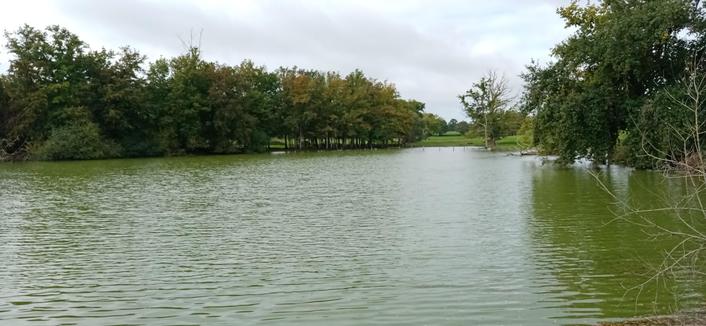 Le plan d'eau avec des arbres au fond