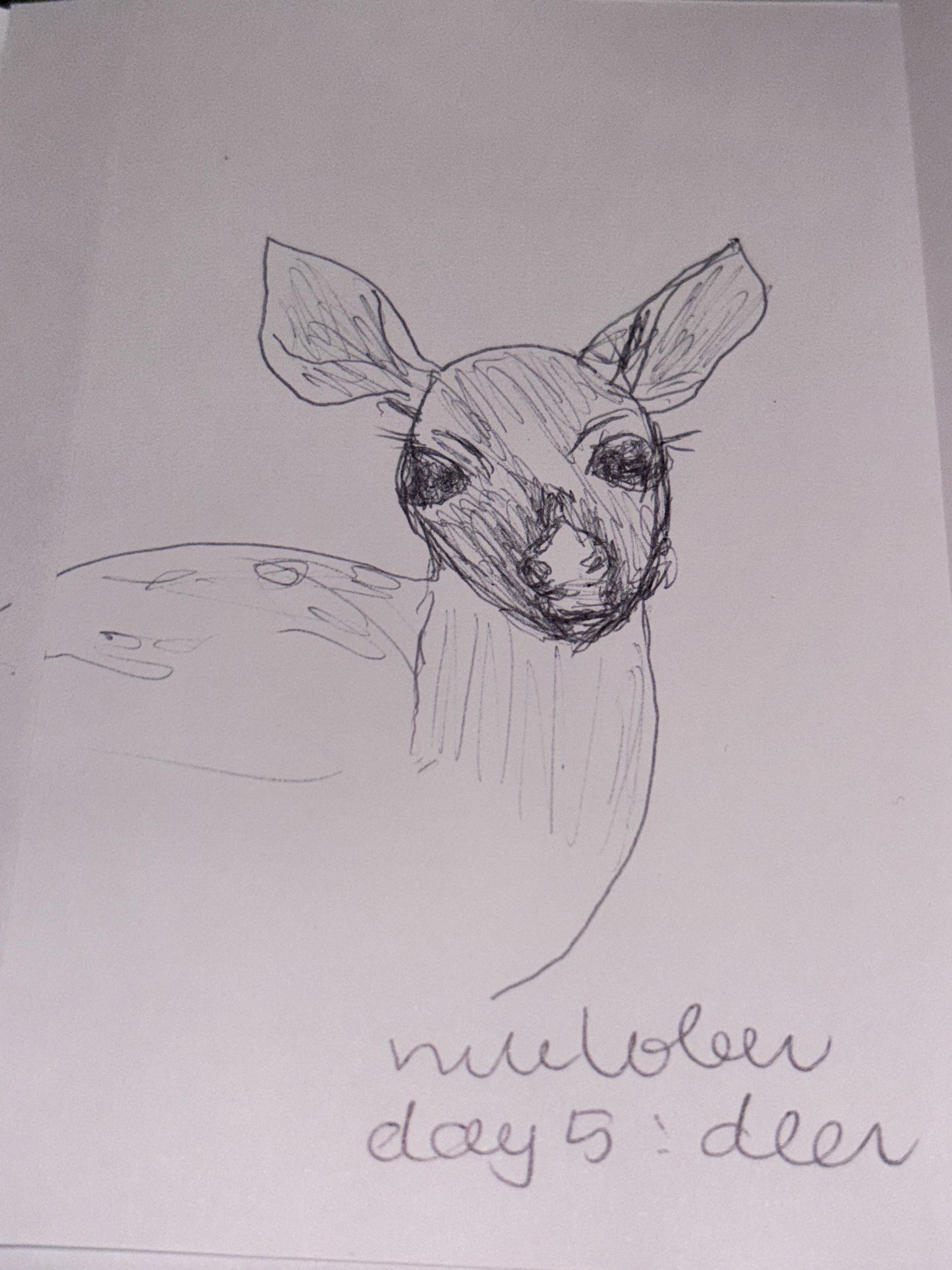 A very wonky doodle of a deer 😂