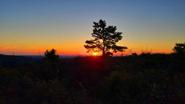Dawn and sunrise this morning, Oct 5th, from Buck Hill!