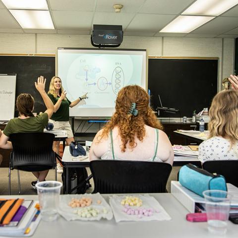 In the image, a classroom is filled with students seated at desks. The teacher is standing at the front of the room, using a projector to display information on the screen. On the screen, there is a diagram showcasing a process of making dyes, likely related to the topic being discussed. Several students are attentively following the lesson, with one student raising their hand to ask a question.

The desks are organized and have a few cups on them. A blue cup is placed near the middle of the room, while a pink cup is located on the right side. The chairs are also arranged neatly around the desks, with some of them being occupied by students.