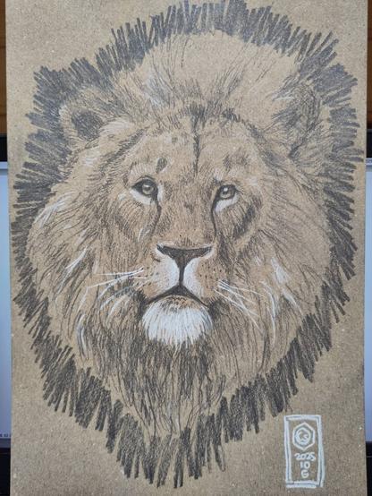 Pencil drawing of a lion's head turned towards the observer. The paper is brown, dark tones are in graphite and white detail in watercolor pencil. Around the mane, a buffer of dark zigzags.