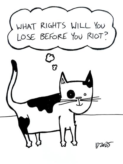 a cat with black blotches stands and thinks "what rights will you lose before you riot?"