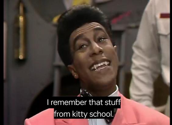 Cat from Red Dwarf saying "I remember that stuff from kitty school"