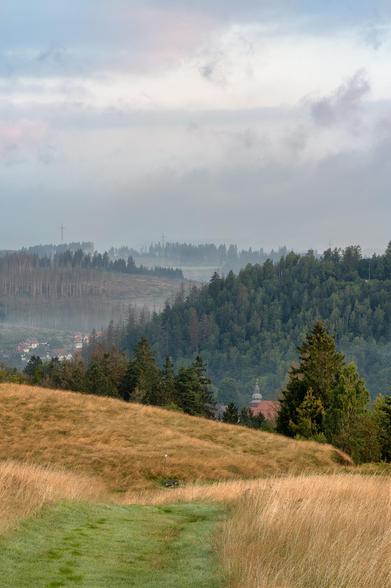 Die Szene zeigt eine weite Landschaft, am frühen Morgen, da das Licht gedämpft und die Stimmung nebelverhangen ist. Im Vordergrund dominiert ein sanfter Hang, der mit hohem, trockenem, goldbraunem Gras bewachsen ist. Unten links gibt es einen Streifen mit kürzerem, grünerem Gras, der möglicherweise von Tau feucht ist. Hinter diesem Hang fällt das Gelände in ein Tal ab und steigt dann wieder an zu bewaldeten Hügeln. Die Hügel sind dicht mit grünen Nadel- und Laubbäumen bewachsen. In der Mitte der Szene und leicht rechts sind die Bäume besonders dunkel und üppig grün. In der Mulde zwischen den Hügeln, verborgen zwischen den Baumkronen, sind einige Häuser einer kleinen Siedlung zu erkennen, und man sieht das rote Dach sowie einen kleinen Turm einer Kirche oder eines ähnlichen Gebäudes. Weiter links, auf einem entfernten Hügel, sticht ein Bereich hervor, der von kahlen Baumstämmen geprägt ist, was auf eine kürzliche Rodung oder einen Schaden (wie z. B. durch einen Sturm oder Borkenkäfer) hindeuten könnte. Im Hintergrund dieses Bereichs ist auch ein Strommast oder eine ähnliche Struktur zu erkennen. Der Hintergrund und der Himmel sind von einem Dunst oder Nebel verhüllt, der die Sicht auf noch weiter entfernte Wälder und Hügel verschleiert. Der Himmel selbst ist überwiegend bedeckt mit grauen, leicht aufgehellten Wolken. Die gesamte Komposition vermittelt eine ruhige, kühle, leicht melancholische Morgen- oder Abendstimmung in einer bewaldeten Mittelgebirgslandschaft.
