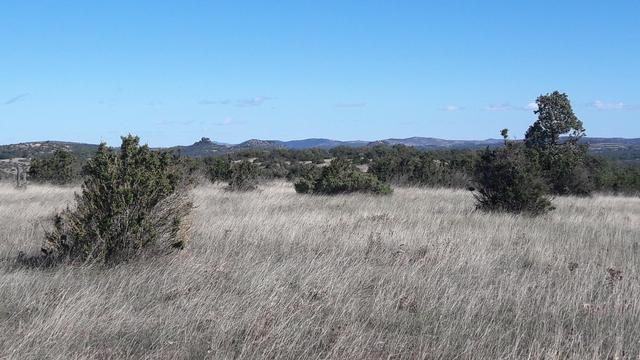 Un paysage de prairie seche avec des arbustes et une ligne d'horizon irrégulière surmontée d'un ciel bleu