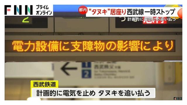 “タヌキ”居座り…西武池袋線は約25分間運転見合わせ　練馬高野台～石神井公園駅間の電力設備