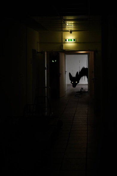 Picture of a barely lit hallway with a door open at the end. Behind the door a pair of green eyes shine in the dark, while a dark entity peers through the open door.