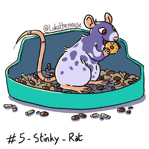 Drawing of a rat, standing in a plastic dish filled with litter pellets and poop. The rat has a cheerio in their hands and are about to eat it enthusiastically while standing on the poop filled litter.