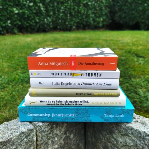 Auf dem Foto liegen sechs Bücher auf einem Stapel auf einer Steinkante. Im Hintergrund sind Rasen und eine Hecke zu erkennen. Die Bücher werden in der Caption aufgelistet.