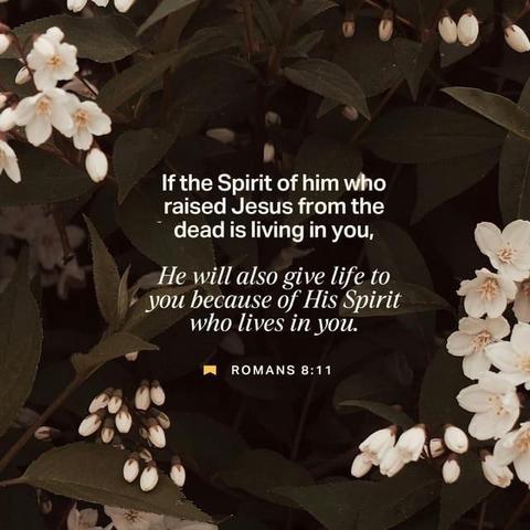 "If the Spirit of him who raised Jesus from the dead dwells in you, he who raised Christ Jesus from the dead will also give life to your mortal bodies through his Spirit who dwells in you." - Romans 8:11 (ESV)