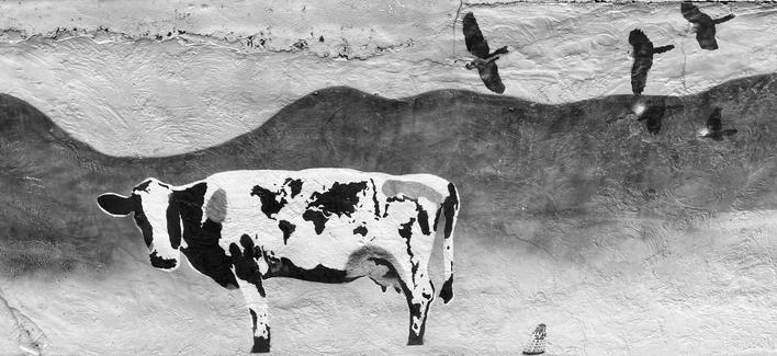Beef/meat, Bellingen mural