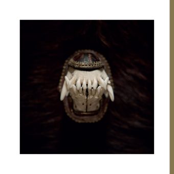 Amenra: De Toorn