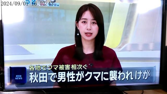 カメラチェック　林美沙希アナ　他　ANNニュース