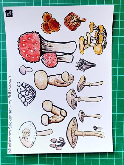 A sheet of 15 stickers of various sizes, made from original drawings in my sketchbook and bullet journal. Great for decorating your own sketchbook or bullet journal.

Each sticker is cut from the base sheet for easy peeling.

The sticker paper is glossy, these stickers should take a decent amount of wear and tear on the outside of a well used sketchbook.