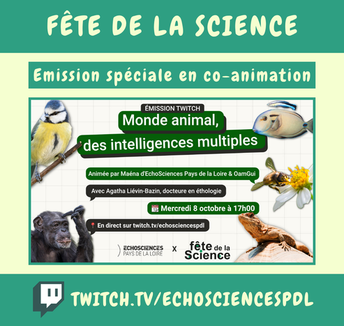 Visuel d’annonce d’un live Twitch.
En haut, un bandeau vert avec le texte en blanc « Fête de la Science ». Juste en dessous, un rectangle vert clair avec l’inscription « Emission spéciale en co-animation ».
Au centre une image avec plusieurs photos d'animaux qui l'illustre sur les côté : un oiseau sur une branche, 2 poissons, une abeille sur une fleur, un chimpanzé qui se gratte la tête et un lézard sur un rocher.
Texte de haut en bas : "Émisson Twitch" - Le titre « Monde animal, des intelligences multiples » - "Animée par Maéna d’EchoSciences Pays de la Loire & OamGui", "avec Agatha Liévin-Bazin, docteure en éthologie." "Mercredi 8 octobre à 17h00." "En direct sur twitch.tv/echosciencespdl".
En bas : Logos EchoSciences Pays de la Loire x Fête de la Science.
En dessous de l’image principale, un bandeau vert avec le logo Twitch et le texte blanc « twitch.tv/oamgui ».