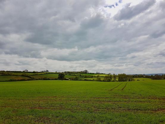 Rolling green fields stretch across the countryside near Chipping Campden in England, with patches of farmland divided by hedgerows and dotted with a few scattered trees. The terrain is gently undulating, with the fields extending toward a distant line of low hills. Overhead, a thick layer of gray clouds covers most of the sky, allowing only a small break of lighter sky near the top. Subtle tractor tracks run through the grass in the foreground, hinting at agricultural activity in the area. The rural landscape is largely open and peaceful, with no visible buildings nearby, emphasizing the expansive farmland of the region.