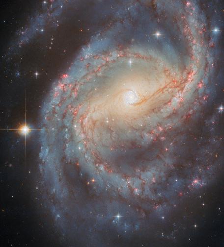 NGC 6951 è una galassia a spirale con numerose strutture affascinanti. Le più accattivanti sono i suoi bracci a spirale, punteggiati da nebulose rosso brillante, stelle blu luminose e nubi di polvere filamentose. I bracci a spirale circondano il centro galattico, che emana un bagliore dorato proveniente da una popolazione di stelle più vecchie. Il centro della galassia è anche chiaramente allungato, rivelando la presenza di una barra di stelle che ruota lentamente.

La barra di NGC 6951 potrebbe essere responsabile di un'altra caratteristica notevole: un anello bianco-blu che racchiude il cuore della galassia. Si tratta di un anello di starburst circumnucleare, essenzialmente un cerchio di formazione stellare intensificata attorno al nucleo di una galassia. La barra incanala il gas verso il centro della galassia, dove si raccoglie in un anello di circa 3800 anni luce di diametro. Due scie di polvere scura che corrono parallele alla barra segnano i punti in cui il gas proveniente dalla barra entra nell'anello.

Il gas denso di un anello circumnucleare di starburst è l'ambiente perfetto per produrre un numero impressionante di stelle. Utilizzando i dati del telescopio Hubble, gli astronomi hanno identificato più di 80 potenziali ammassi stellari all'interno dell'anello di NGC 6951. Molte delle stelle si sono formate meno di 100 milioni di anni fa, ma l'anello stesso è più longevo, essendo potenzialmente esistito per 1-1,5 miliardi di anni.