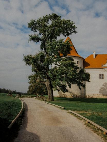 Bauska castle (Latvia) shot from a path leading to main entrance.