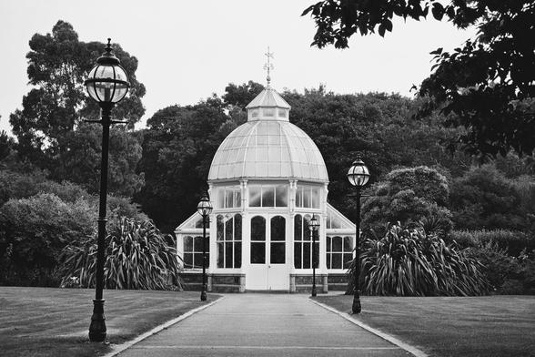 A monochrome, high-contrast photograph of the interior of a Victorian-era glasshouse or conservatory. A central paved pathway leads the eye directly toward a large, ornate dome in the distance. Tall, slender arched windows and metal framework create a strong pattern of light and shadow, with lush potted plants and trees lining the path on either side.