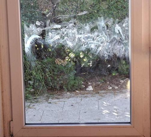 The image shows a window with dirty glass, partially obstructing the view of a green bush and natural foliage outside. The smudged surface of the glass blurs the details of the garden scene. Sunlight filters through, highlighting the dirt and streaks on the window.