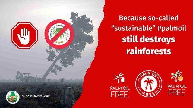 Major #brands making #cleaning products 🧹🧼🫧 #Palmolive #Reckitt #Unilever #PZCussons and others tell lies and destroy rainforests. Don't buy the #greenwash of "sustainable" #palmoil 🌴🤮💀☠️❌ Instead shop #palmoilfree #Boycott4Wildlife @palmoildetect.bsky.social https://palmoildetectives.com/2021/02/11/palm-oil-free-cleaning-products/?utm_source=mastodon&utm_medium=Palm+Oil+Detectives&utm_campaign=publer