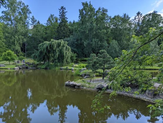 Un jardin japonais à Tallinn, Estonie. Au premier plan, un étang, entouré de grands arbres. Les arbres se reflètent dans l'eau. Le ciel est bleu avec à peine quelques petits nuages blancs.
