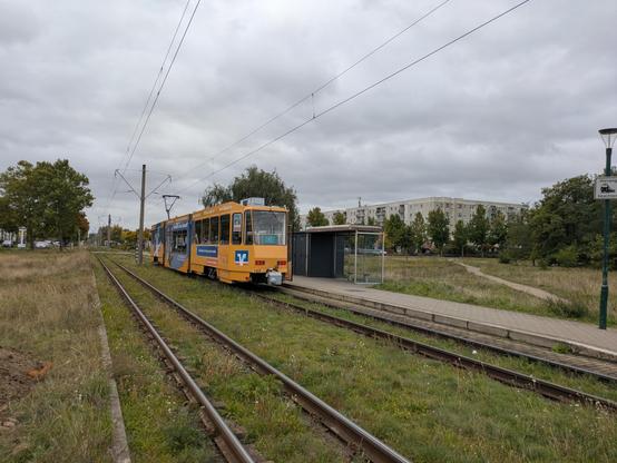 Das Bild dominieren Gleisanlagen der Straßenbahn. Links und rechts breite Botanikstreifen mit großen Bäumen, in der Mitte die in Gras eingelassenen Gleise. Auf dem rechten steht einige Meter entfernt eine Straßenbahn, dessen Heck man sieht, die mit gelb-orangener Werbung der Volksbank beklebt ist. Im ferneren Hintergrund ist ein Plattenbau zu sehen, ein kastenförmiges, graues Wohnhaus. Der Himmel ist stark bewölkt.