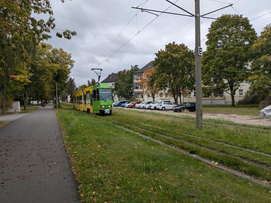 Eine Straßenbahntrasse, die begrünt ist, links und rechts davon ein asphaltierter Weg mit großen Bäumen, die langsam Herbstlich werden. Auf dem rechten parken einige Autos, im Hintergrund sind einige Häuser zu sehen. Auf den Gleisen ist eine grüne Straßenbahn zu sehen. Außerdem sieht man einen Oberleitungsmasten mit entsprechender Oberleitung.