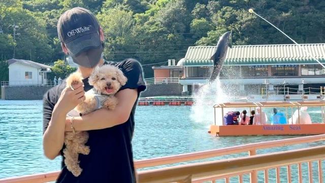 トイプードルと独身男が全力で夏を楽しんだ日