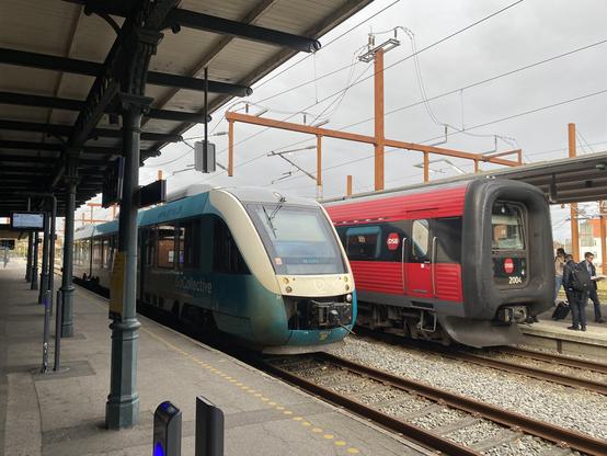 Two trains. On the right a pretty red dsb worm train. On the left the thing we're not taking