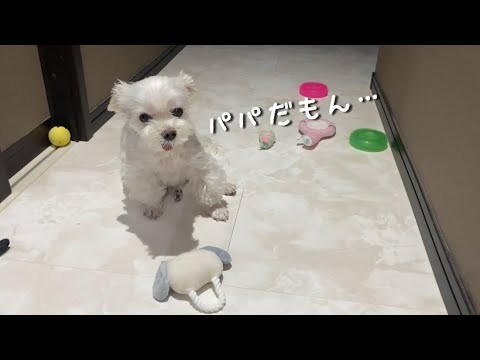 ついにママの堪忍袋の緒が切れました…