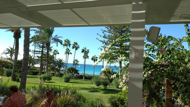 Plam trees, blue sea & blue sky