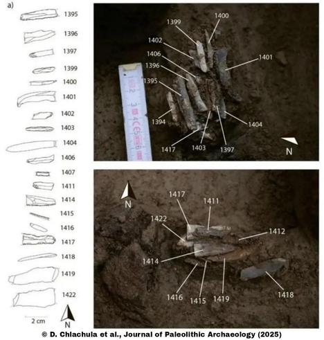 Rare 30,000-year-old personal toolkit reveals life of a Stone Age hunter
Archaeologists have uncovered a rare and remarkably preserved collection of stone tools, dating to around 30,000 years ago, at the Paleolithic site of Milovice IV in the Czech Republic.
The collection, discovered during excavations carried out in 2021, consists of 29 blades and bladelets that were apparently collected together with care, most likely in a pouch or container made from perishable materials that decayed long ago. Scientists consider the find to be a personal toolkit of a single Gravettian hunter-gatherer, used for hunting trips and migratory movements...