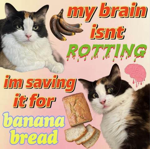 Meme shows two cats, rotten bananas, a cartoon brain, and banana bread. Text says: “my brain isn’t rotting, I’m saving it for banana bread.”