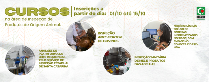 Imagem de capa da notícia, infelizmente por ser um bot hospedado gratuitamente, não consigo gerar texto alternativo!