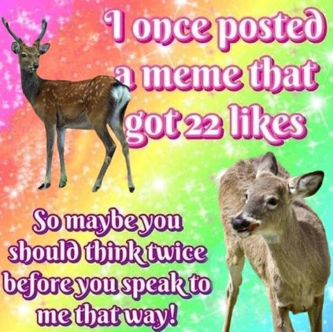 a rainbow glitter background gradient. in the foreground are two deer. the words “i once posted a meme that got 22 likes” are on the top left, pink and in barbie font. the words “so maybe you should think twice before you speak to me that way!” are in the bottom left, in purple and in the same barbie font