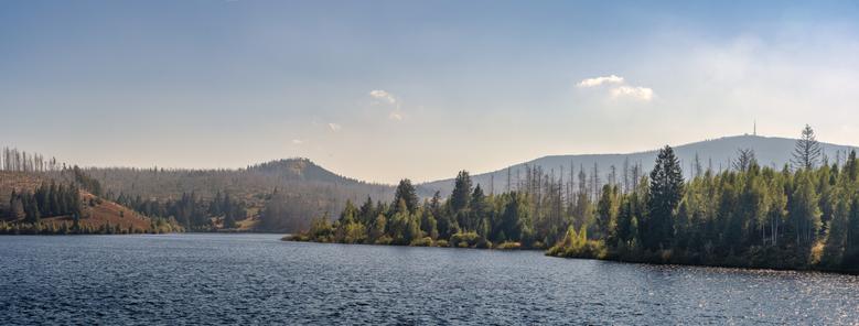 Die Szene zeigt eine weite und malerische Naturlandschaft der Eckertalsperre im Harz, die sich harmonisch in das Mittelgebirge einfügt.
Visuelle Beschreibung der Szene
Der See (Vordergrund): Der Eckerstausee dominiert den Vordergrund. Seine Oberfläche erscheint tiefblau bis dunkelgrau, leicht gekräuselt, was auf eine ruhige, aber nicht spiegelglatte Wasseroberfläche hindeutet. Das Wasser ist bekannt als nährstoffarmes, relativ saures Trinkwasser, gespeist aus den Hochmooren des Harzes.
Die Uferzone und Wälder (Mitte): Die Ufer sind von einer Mischung aus Nadel- und Laubwald gesäumt, wobei insbesondere die Fichtenwälder des Harzes ins Auge fallen. Im rechten Bildbereich sind die Bäume dicht und grün, während auf den sanften Hängen links und mittig deutliche Spuren von Waldschäden und abgestorbenen Bäumen zu erkennen sind, typisch für die hochgelegenen Harzregionen (Borkenkäferbefall/Windwurf). Zwischen den toten Stämmen wächst stellenweise junges, hellgrünes Gehölz nach.
Die Bergsilhouetten (Hintergrund): Die Talsperre ist von bewaldeten Hügeln umrahmt. Am Horizont, leicht diesig, erhebt sich die markante Silhouette des Brockenmassivs (oder eines seiner Vorberge). Der Brocken, der höchste Berg des Harzes, ist oft von der Eckertalsperre aus sichtbar, in diesem Bild auf der rechten Seite als Bergkuppe erkennbar. Auf seiner Spitze sind die Sendeanlagen nur als undeutliche Strukturen zu erahnen.
Himmel und Atmosphäre: Der Himmel ist weit und hellblau, mit einem leichten, hellen Sc