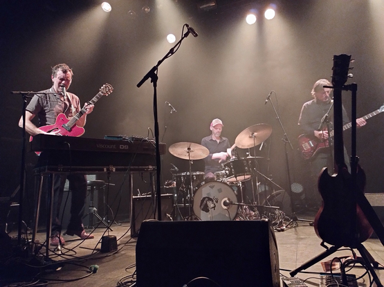 Concertfoto van De DeSoto Caucus uit Denemarken. De gitarist/toetsenist staat achter zijn Viscount D9 orgel met een rode half-akoestische jazz-gitaar. Hij kijkt serieus terwijl hij dicht op de microfoon zingt. Rechts van hem zit de drummer met een baseball pet en een korte grijze baard achter een klein drumstel. Helemaal rechts staat de lange bassist rustig te bassen.