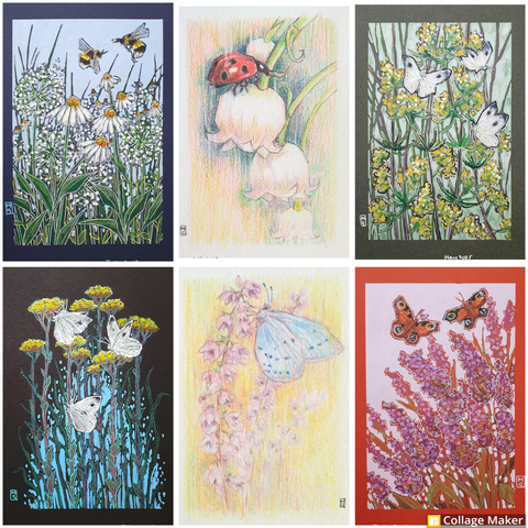 A photo collage of some of my insect artworks:
Bees with white flowers, a ladybird on lily of the valley, cabbage white butterflies with yellow flowers and a green background, cabbage white butterflies on black paper, a holly blue butterfly, peacock butterflies.