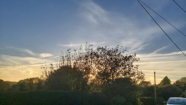 Un parhélie, phénomène atmosphérique qui fait apparaître des doubles du soleil, un à droite et un à gauche, illumine le ciel du soir en arrière plan d'un groupe d'arbres qui chachent le vrai soleil.
Le ciel est d'un beau bleu azur profond strié de quelques langues de nuages. Sur l'horizon, les nuages plus denses s'illuminent de l'or du soleil couchant, accompagné par ses doubles irisés. Au premier plan, un groupe d'arbres masque négligemment le vrai soleil.