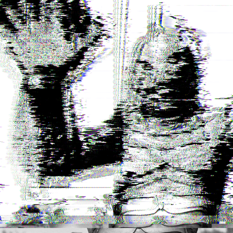 the creature from the black lagoon. all glitched up.