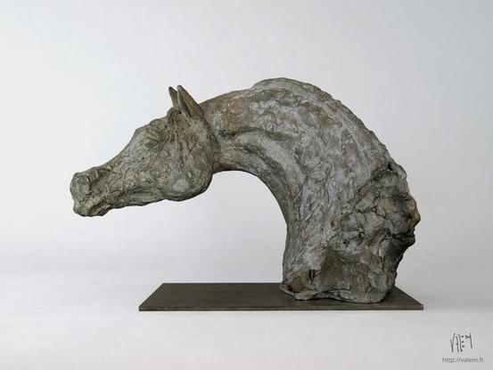 Photographie d'une sculpture en bronze représentant une tête de cheval arabe
