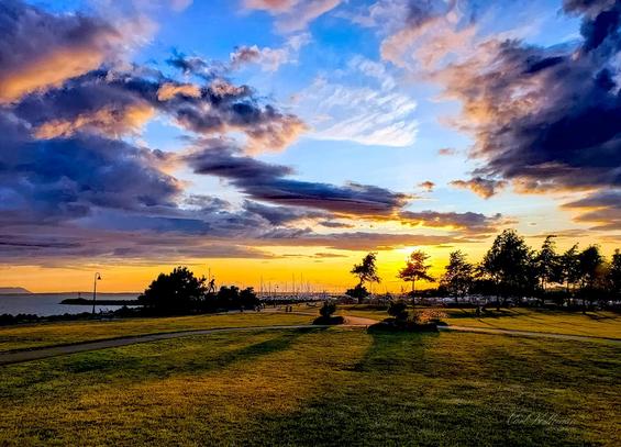 A vibrant sunset over Zuanich Point Park in Bellingham, Washington. The sky explodes with color — rich blues, purples, and fiery oranges reflecting the last light of day. Golden sunlight sweeps across the park’s open grassy field, casting long shadows toward the waterfront. Sailboat masts and silhouetted trees line the horizon as the sun dips behind the bay, capturing the peaceful yet dramatic essence of a Pacific Northwest
