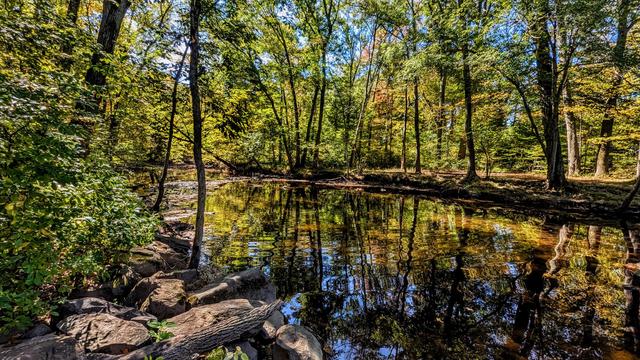 Standing on a rocky riverbank, a calm stretch of river slightly rippled by a gentle current. Both sides of the river are wooded, a forest of predominantly hardwoods. Some of the trees are showing the first touches of yellow, gold and orange. A deep blue sky with a few clouds and the forest are mirrored on the placid waters. Many of the trees are leaning out over the river in varying degrees to catch more sunlight, creating intricate crisscrossing patterns of reflections.