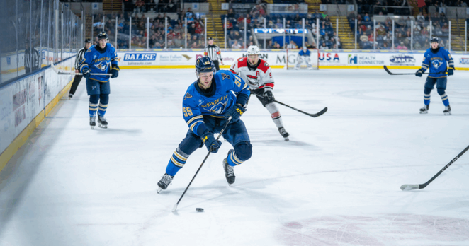 Springfield Thunderbirds | Blues Assign D Hunter Skinner to T-Birds