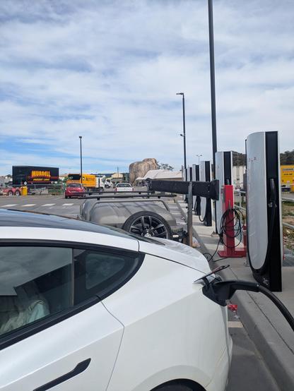 Photo of a car plugged in at a bank of Tesla chargers. The arse of the big merino is in the background