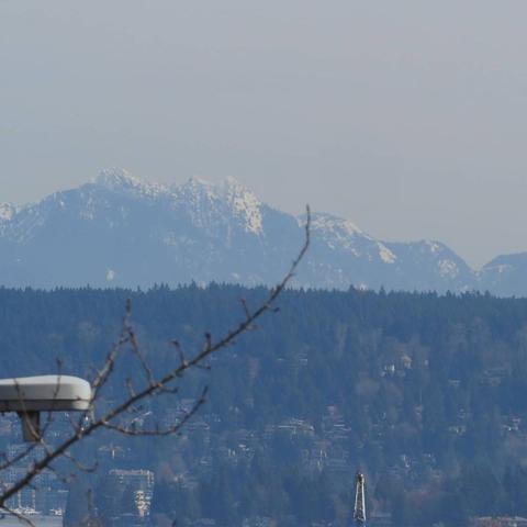 Photo by Neil E. Hodges on March 18, 2021. May be an image of nature.