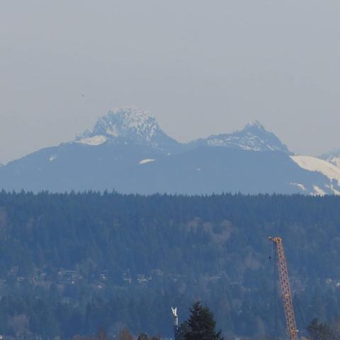 Photo by Neil E. Hodges on March 18, 2021. May be an image of nature.